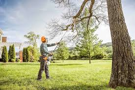 Best Tree Risk Assessment  in Hagaman, NY
