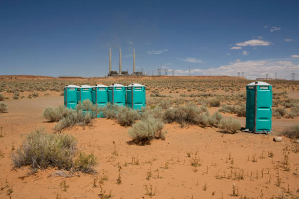 Best Soil Testing and Treatment  in Hagaman, NY
